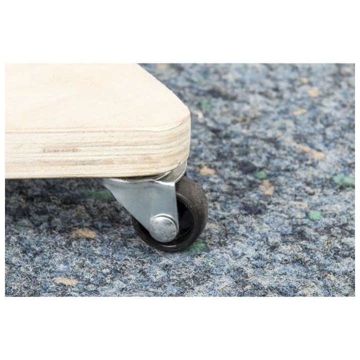 MEISTER Chariot a roulettes 134x134x134 mm 100 kg