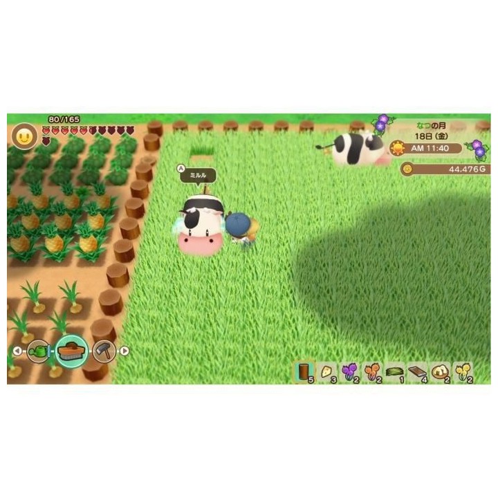 Story of Seasons Friends of Mineral Town Jeu PS4