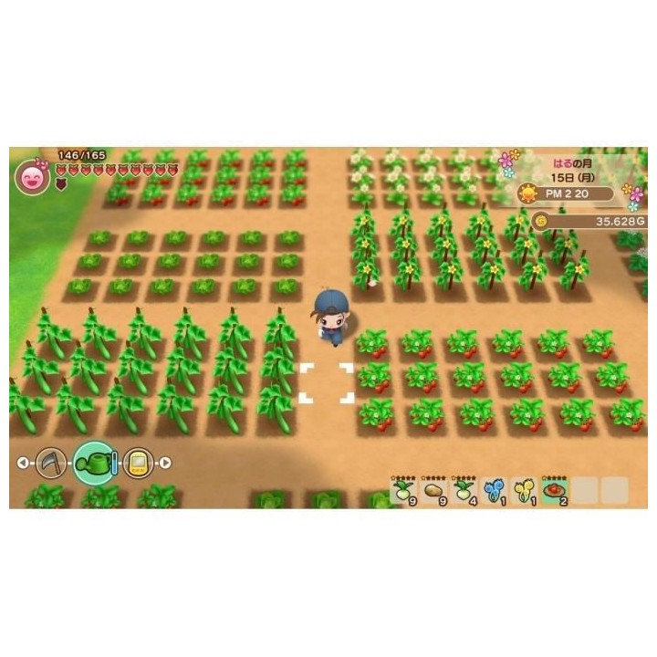 Story of Seasons Friends of Mineral Town Jeu PS4