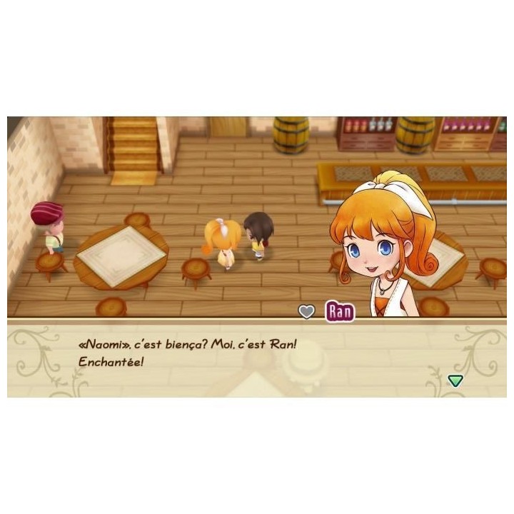 Story of Seasons Friends of Mineral Town Jeu PS4