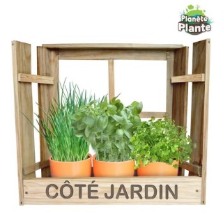 MGM Fenetre Jardiniere avec 3 Pots