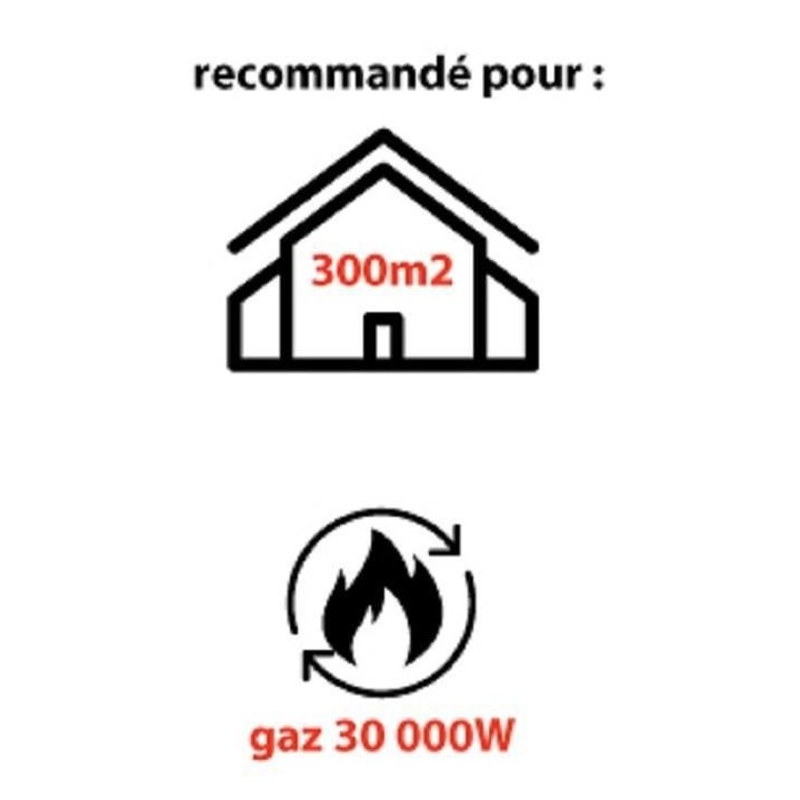 MECAFER Chauffage a gaz avec turbine incorporée 30000 W MH30000G