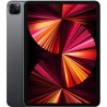 Apple - iPad Pro (2021) - 11'' - WiFi + Cellulaire - 1 To - Gris Sidéral