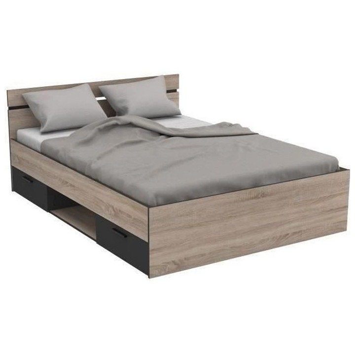 DEMEYERE Michigan Lit adulte 140x190 cm - 2 tiroirs et 1 niche - Indus