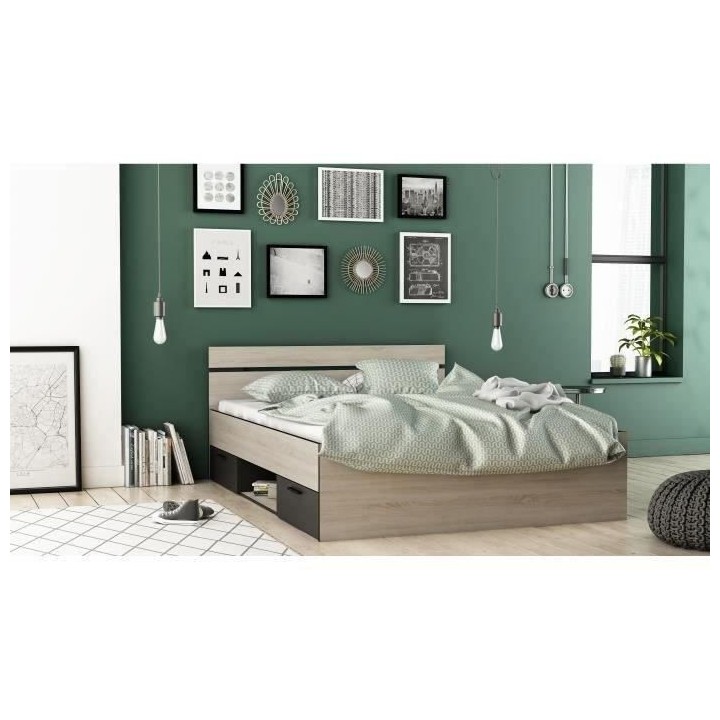 DEMEYERE Michigan Lit adulte 140x190 cm - 2 tiroirs et 1 niche - Indus