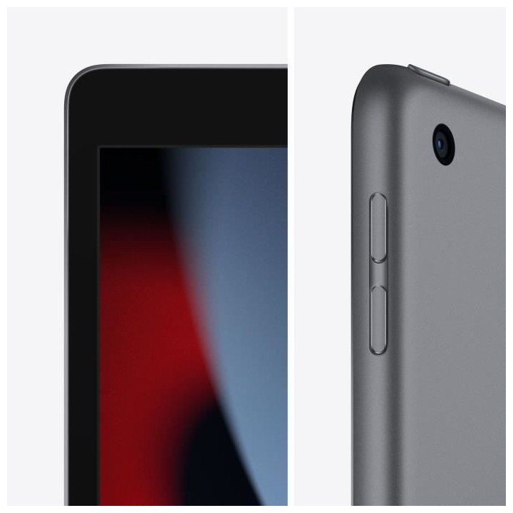 Apple - iPad (2021) - 10,2 WiFi - 256 Go - Gris Sidéral