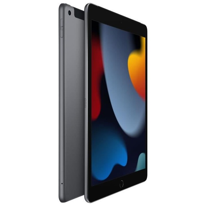 Apple - iPad (2021) - 10,2 WiFi + Cellulaire - 256 Go - Gris Sidéral