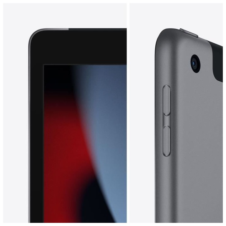 Apple - iPad (2021) - 10,2 WiFi + Cellulaire - 256 Go - Gris Sidéral