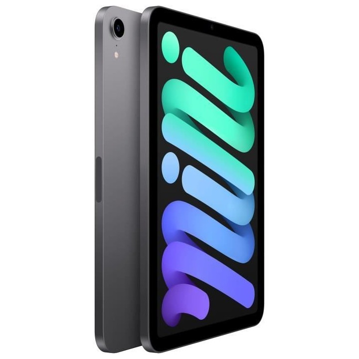 Apple - iPad mini (2021) - 8,3 WiFi - 256 Go - Gris Sidéral