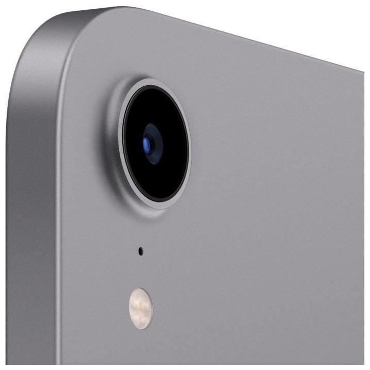 Apple - iPad mini (2021) - 8,3 WiFi - 256 Go - Gris Sidéral
