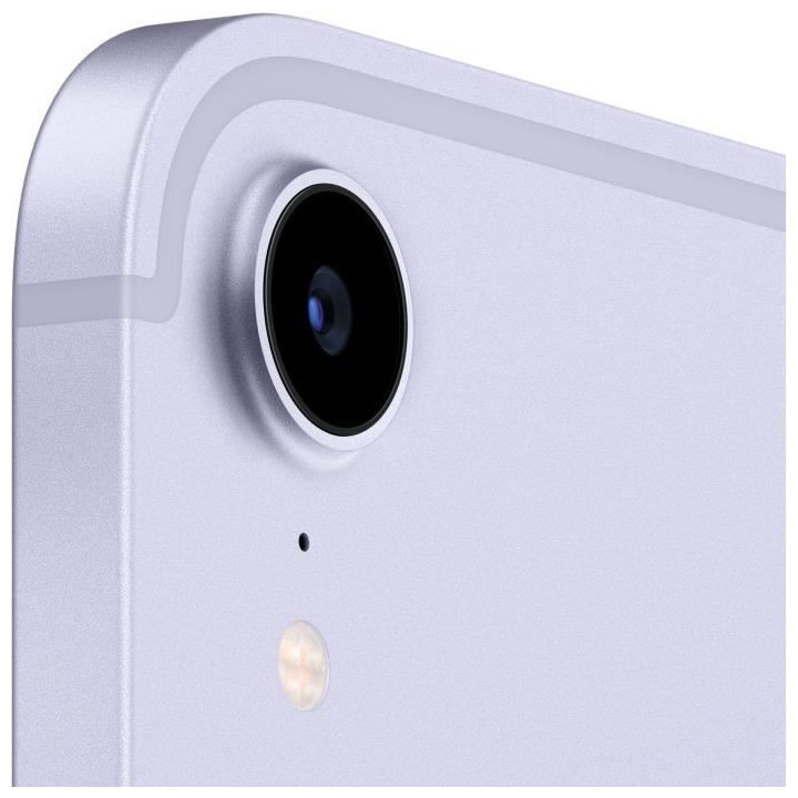 Apple - iPad mini (2021) - 8,3 WiFi + Cellulaire - 64 Go - Mauve