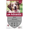 Advantix Chien Solution Antiparasitaire Race Moyenne 10 a 25kg 4 pipettes