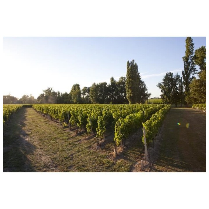 Château La Croix Montlabert 2018 Saint-Emilion Grand Cru - Vin rouge