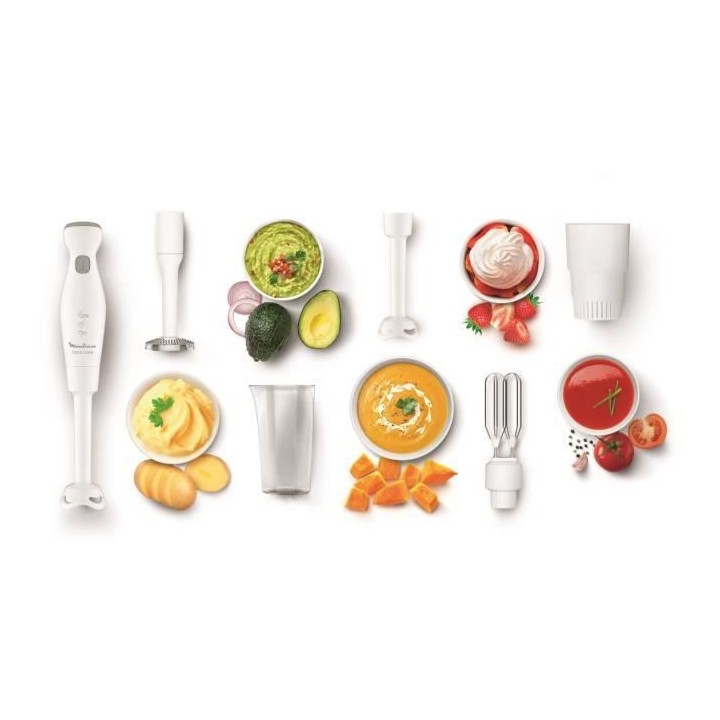 MOULINEX DDG25110 Robot Marie Mixeur a main, 2 vitesses, Fonction Turb