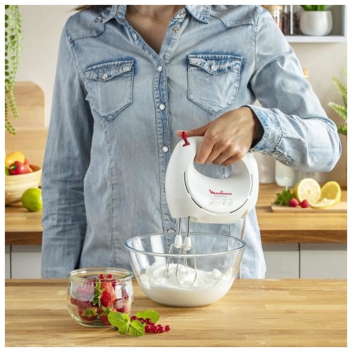 MOULINEX HM2501B1 Easy Max Batteur a main électrique, 2 jeux de fouet
