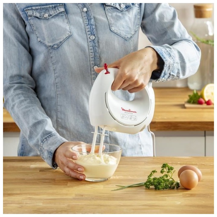 MOULINEX HM2501B1 Easy Max Batteur a main électrique, 2 jeux de fouet