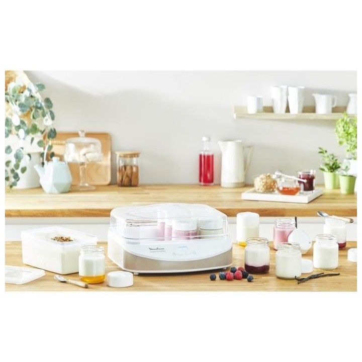 MOULINEX YG233A10 Yogurteo Family Yaourtiere 12 pots verre 160 ml + ba