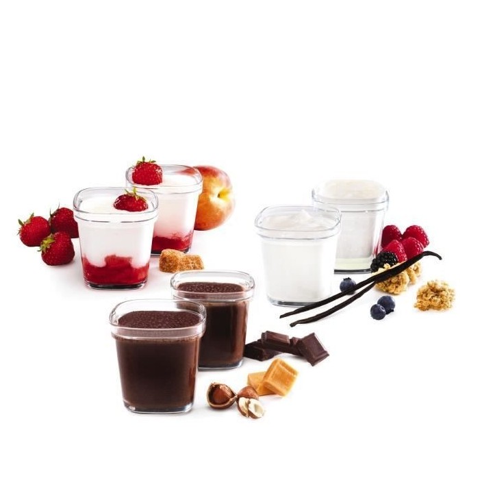 SEB 6 Pots de Yaourt - Yaourtieres Multi délices - XF100501