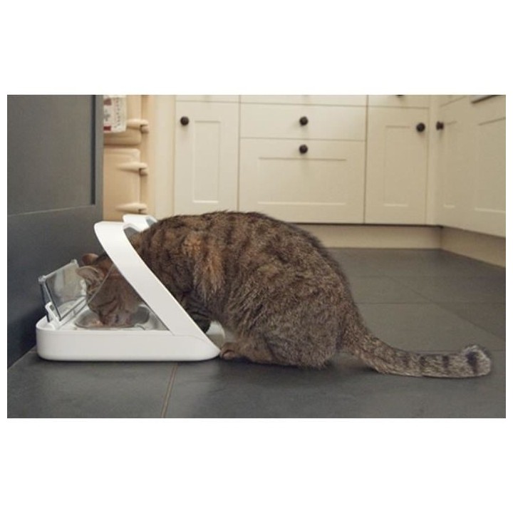 SUREFEED Distributeur de nourriture a puce électronique - Blanc (Livr