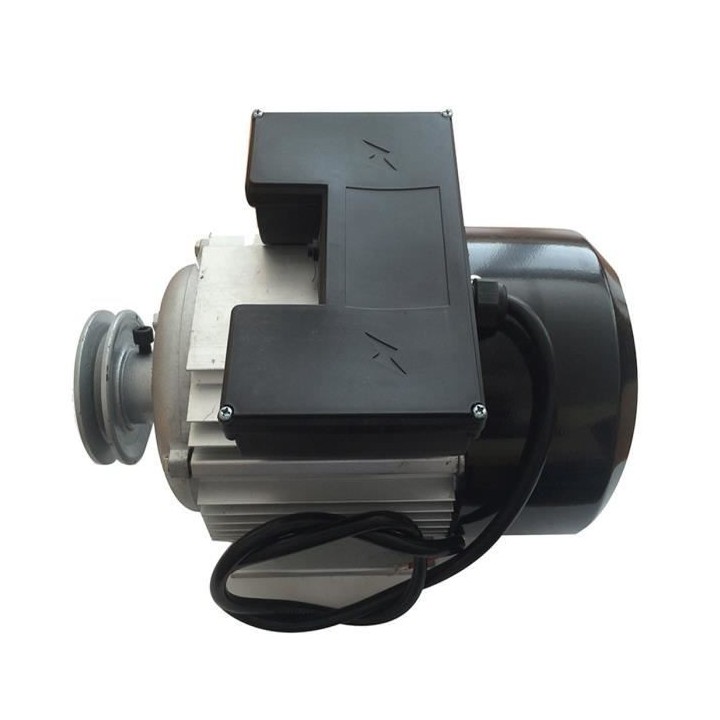 DOMAC Moteur électrique 3cv/230V avec poulie