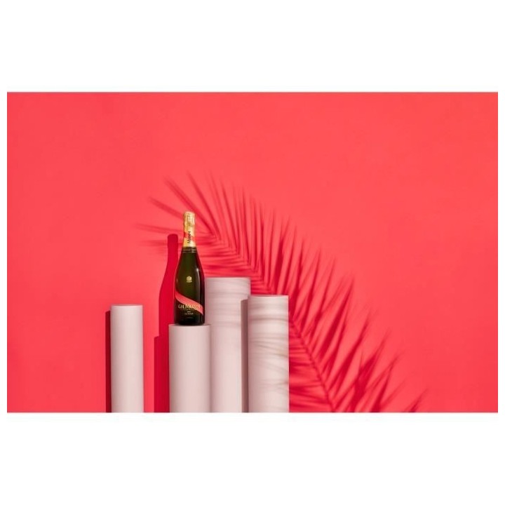 Champagne Mumm Rosé - 75 cl