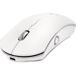 Souris Sans Fil - BLUESTORK - 5 Boutons - 1000/1600 DPI - Windows et M