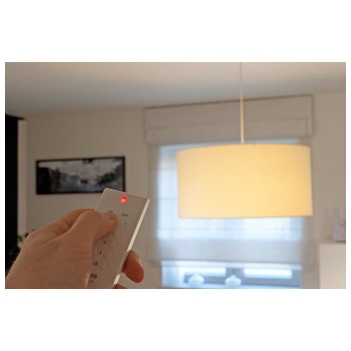 CHACON Télécommande 16 canaux DiO pour la gestion d'appareils élect