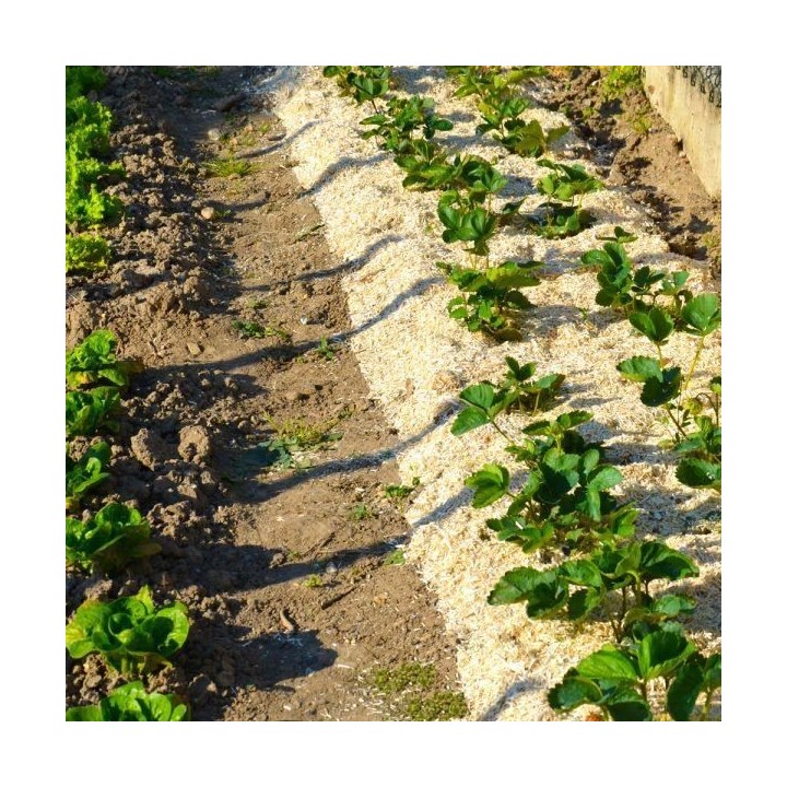 NATUREN Paille de Chanvre - 100L