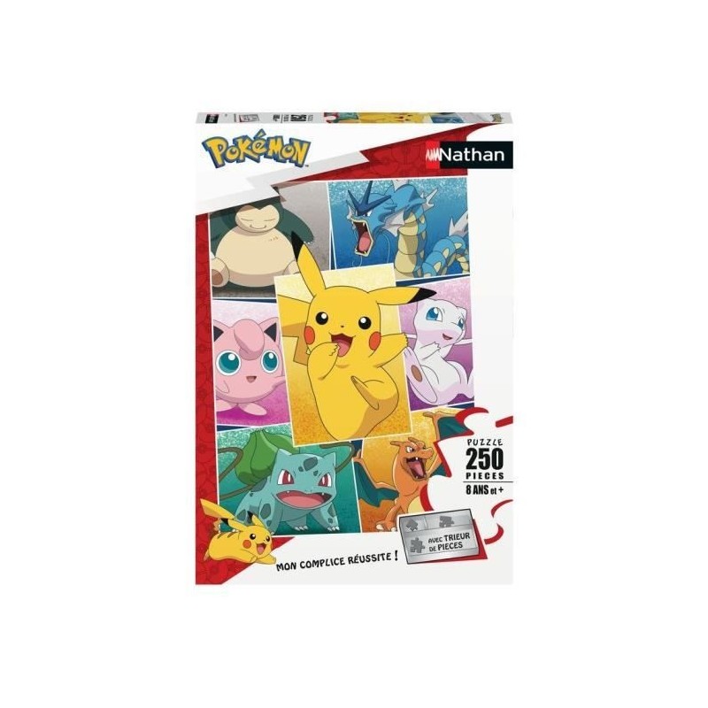 POKEMON - Puzzle 250 pieces - Types de Pokémon - Nathan