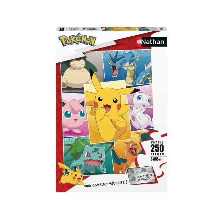 POKEMON - Puzzle 250 pieces - Types de Pokémon - Nathan