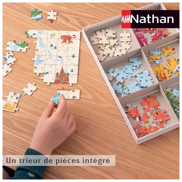 POKEMON - Puzzle 250 pieces - Types de Pokémon - Nathan