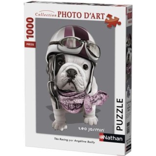 Puzzle 1000 pieces - Téo Racing / Téo Jasmin - Nathan - Puzzle Adult