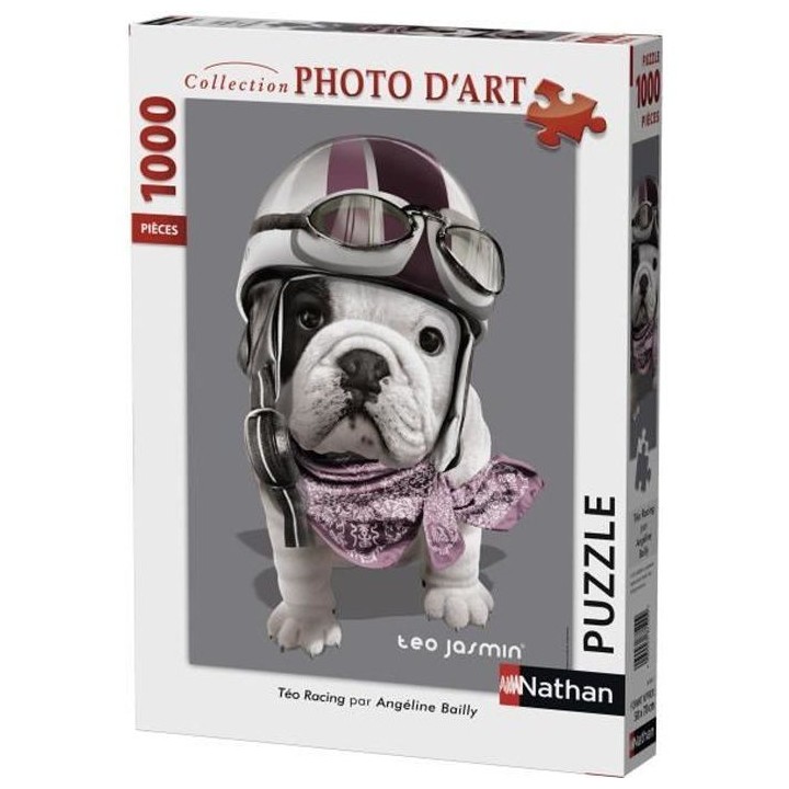 Puzzle 1000 pieces - Téo Racing / Téo Jasmin - Nathan - Puzzle Adult