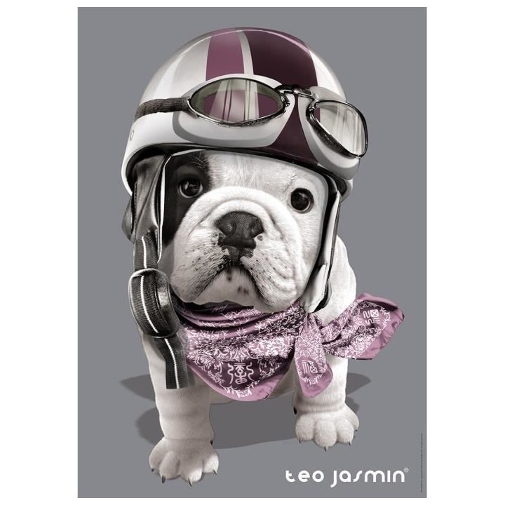 Puzzle 1000 pieces - Téo Racing / Téo Jasmin - Nathan - Puzzle Adult