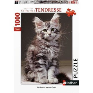 Puzzle N 1000 p - Le chaton Maine Coon