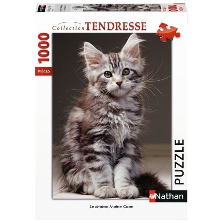 Puzzle N 1000 p - Le chaton Maine Coon