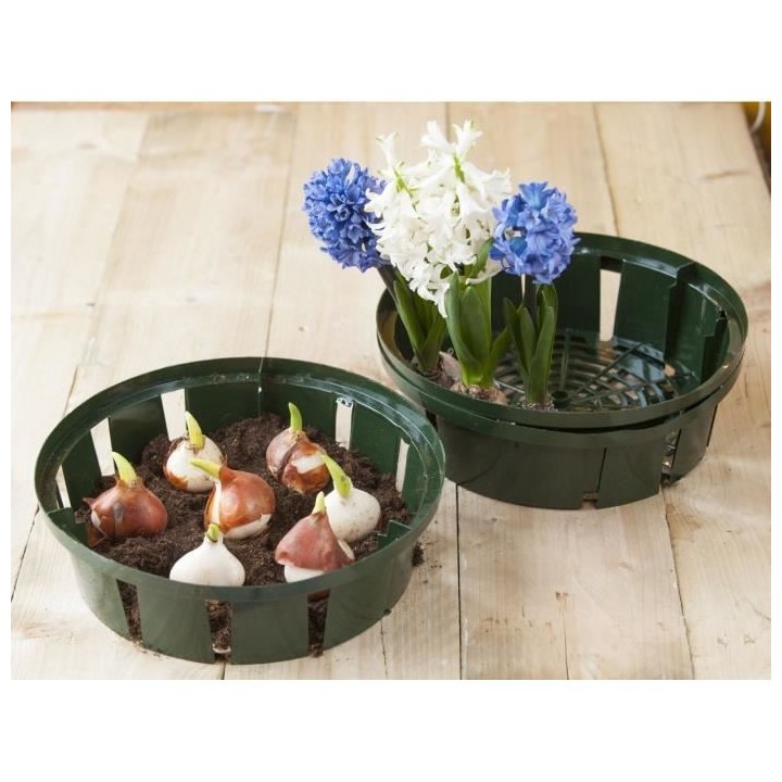 Lot de 3 bacs a bulbes H7,5 x diam 26 cm