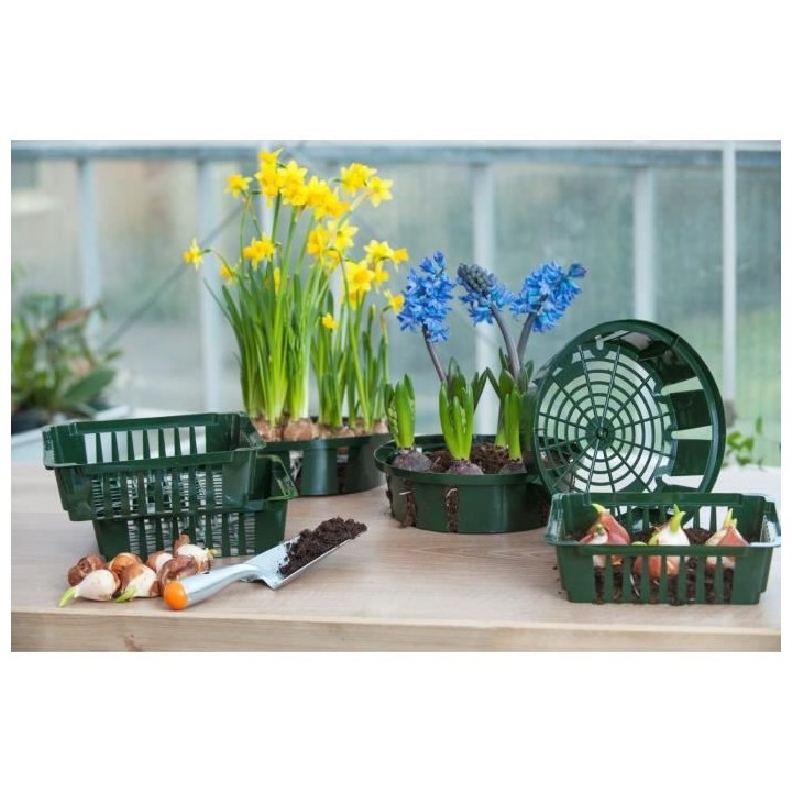 Lot de 3 bacs a bulbes H7,5 x diam 26 cm