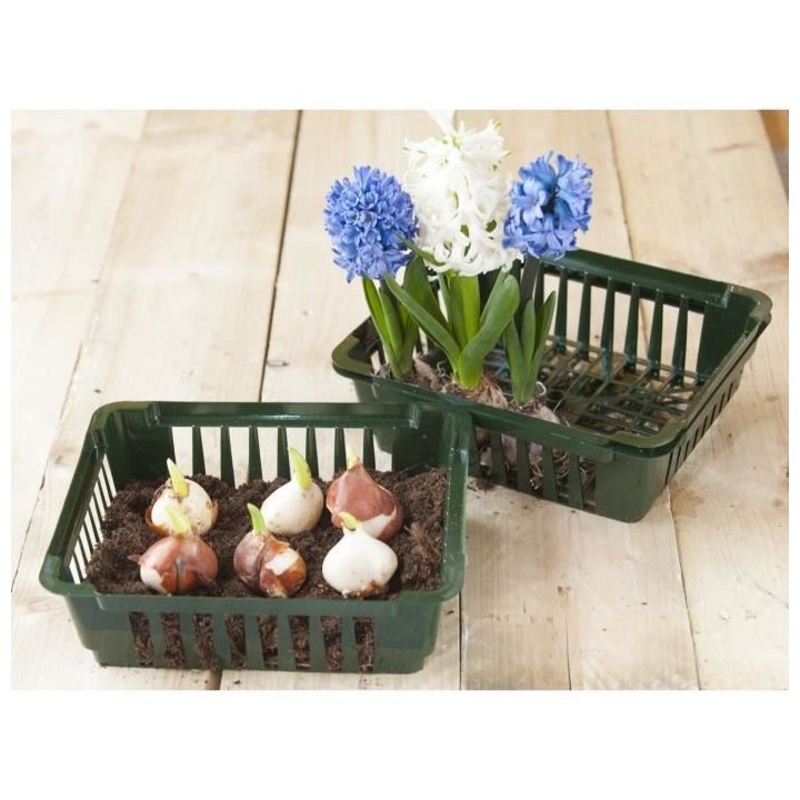 Lot de 3 bacs a bulbes 25x21x7,5 cm