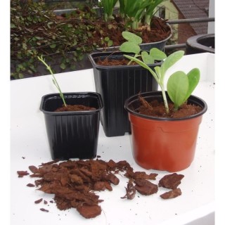 Lot de 20 pots bouturage polystyrene7x7x6cm