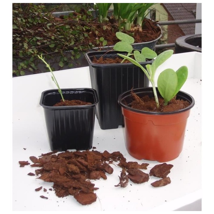 Lot de 20 pots bouturage polystyrene7x7x6cm