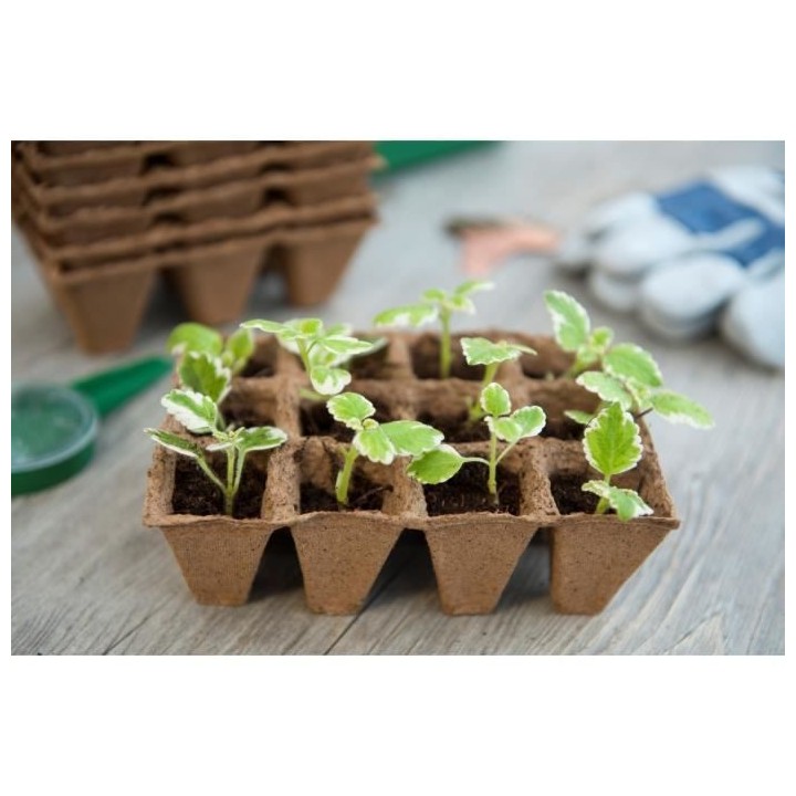 Lot de 6 pots tourbe de 12 alvéoles x6 4x4x5 cm