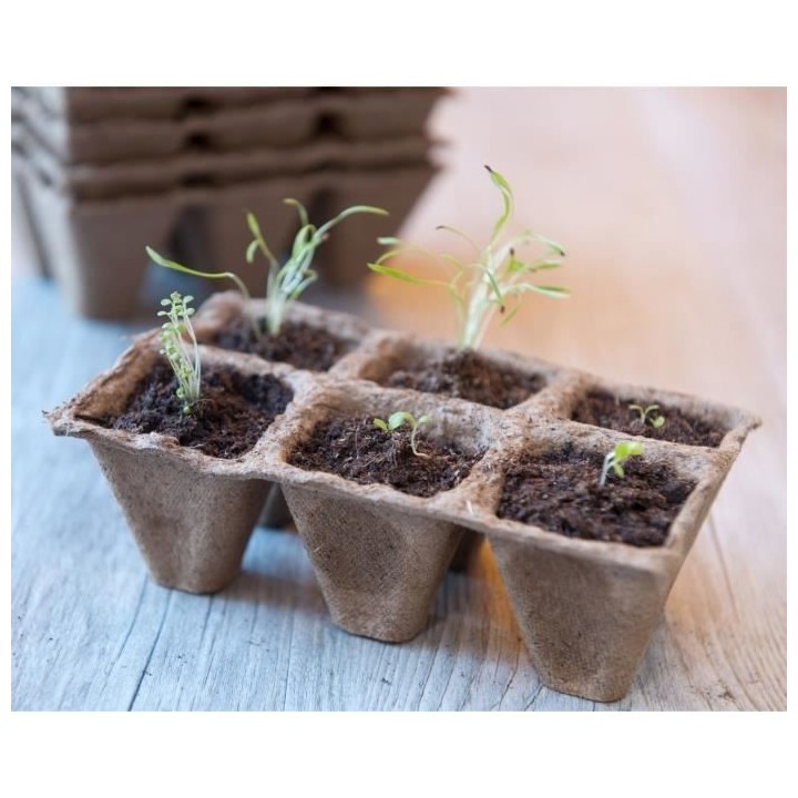 Lot de 10 pots tourbe de 6 alvéoles 5x5x5 cm