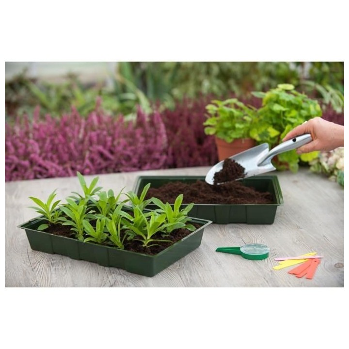 Lot de 5 terrines pour semis 35x23,5x5,5 cm