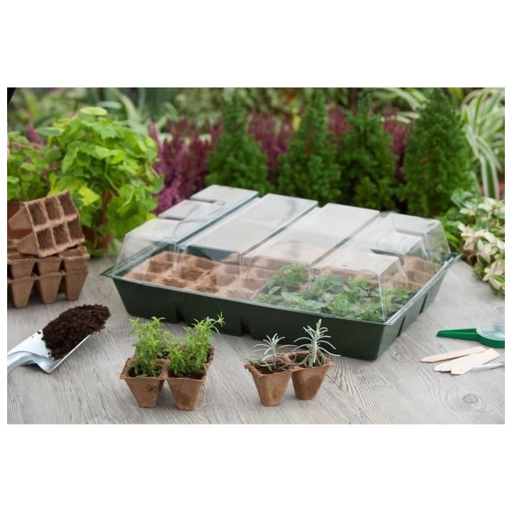 Mini-serre de culture avec plateaux de tourbe