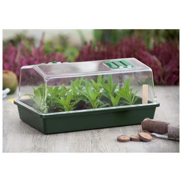 Mini serre terrine et couvercle ventilé 37x24x18 xm