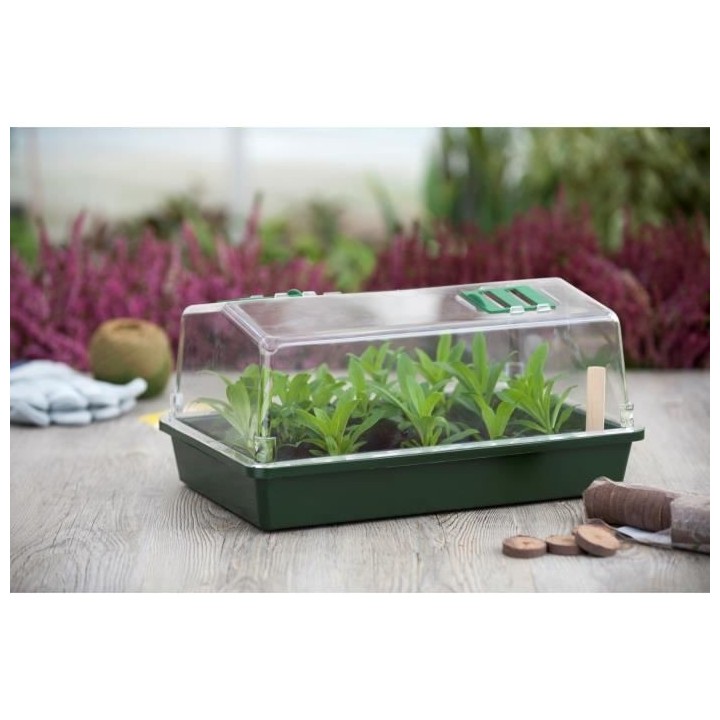 Mini serre culture H21x55x31cm