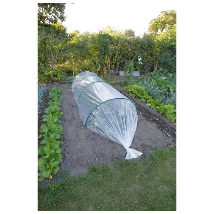 Film de forçage-LDPE transparent-50µ-2x5m