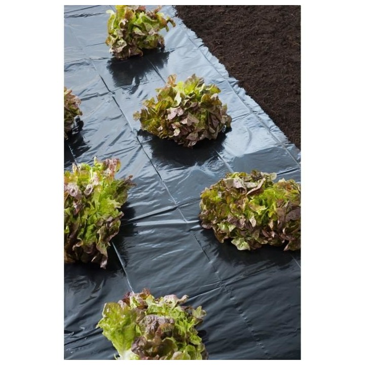 Film de paillage noir toutes cultures - 1,40x10m