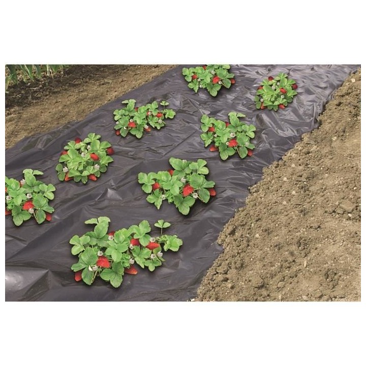 Film de paillage spécial fraises - 1,40x10m